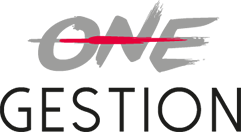 Renseignements One Gestion